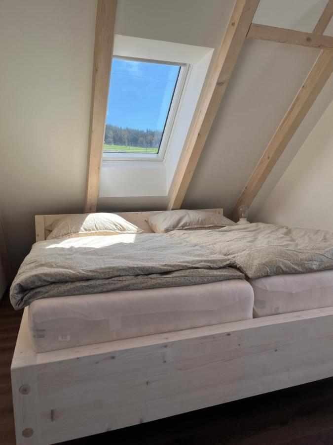 U Kralika, Apartman H, 3 Samostatne Loznice - Mezonet, Vlastni Parkovani, 50 Metru Od Vleku , Vysousece Bot V Lyzarne โดลนี โมราวา ภายนอก รูปภาพ