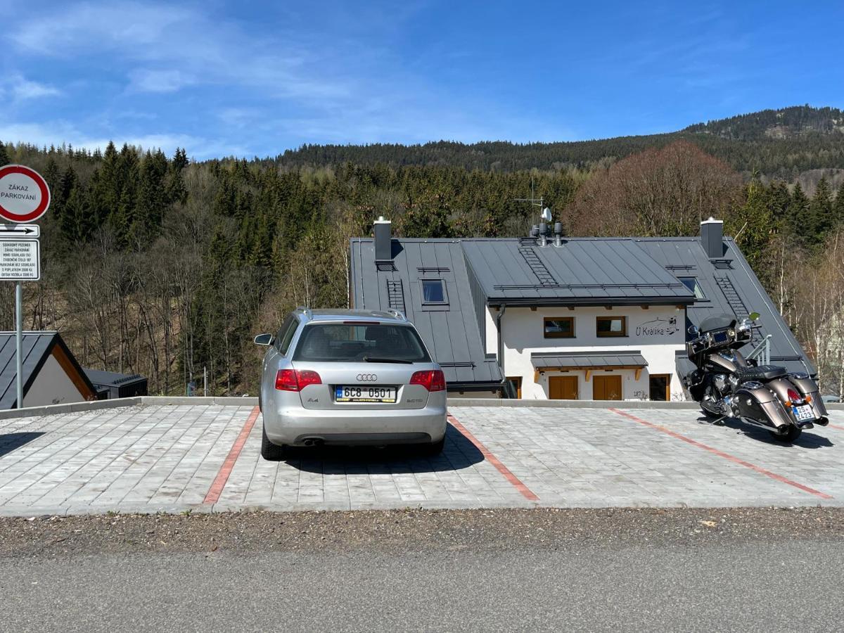 U Kralika, Apartman H, 3 Samostatne Loznice - Mezonet, Vlastni Parkovani, 50 Metru Od Vleku , Vysousece Bot V Lyzarne โดลนี โมราวา ภายนอก รูปภาพ